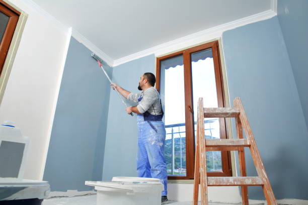 Best Comprehensive Air Testing for Mold Contaminants  in Normal, IL