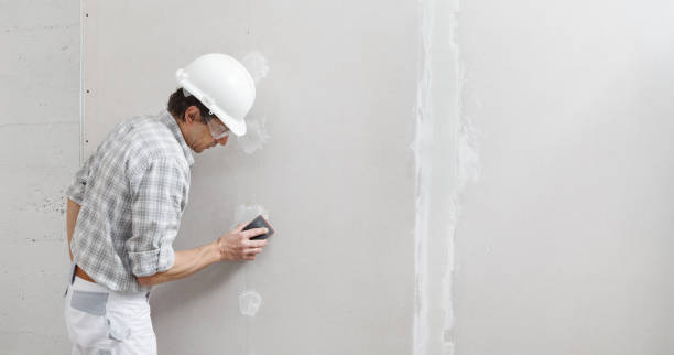 Mold Documentation for Insurance Claims in Normal, IL