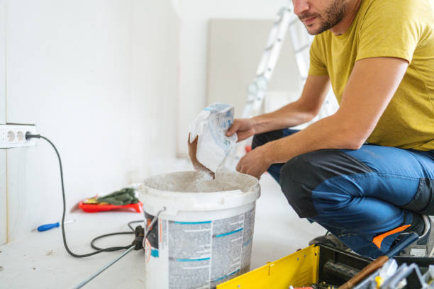 Professional Mold Removal in Normal, IL