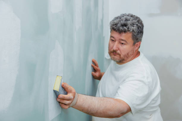 Best Mold Removal for HVAC Installations  in Normal, IL