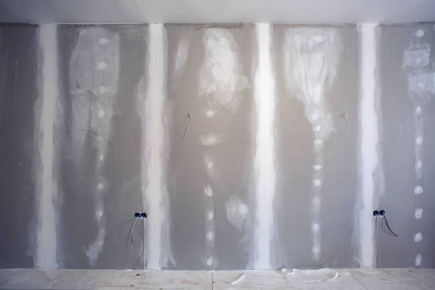 Best Attic Mold Removal  in Normal, IL
