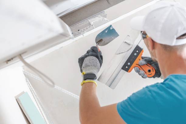 Best Biohazard Mold Removal  in Normal, IL